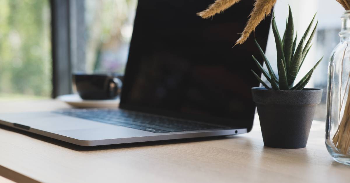 A laptop, coffee cup, and small succulent on a light, wooden desk in front of a window on a sunny day.