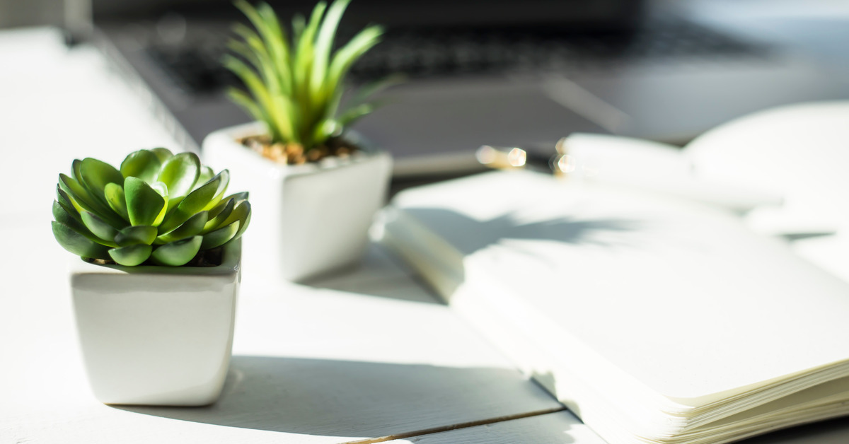 Two small succulents in square, white pots on a white desk with an open notebook and a silver laptop.